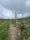A row of apple trees stretches into the distance under a cloudy sky. The trees are supported by wooden posts and wires, and some red apples are visible among the green leaves. The ground is covered with a mix of green grass and dried grass, creating a natural pathway.