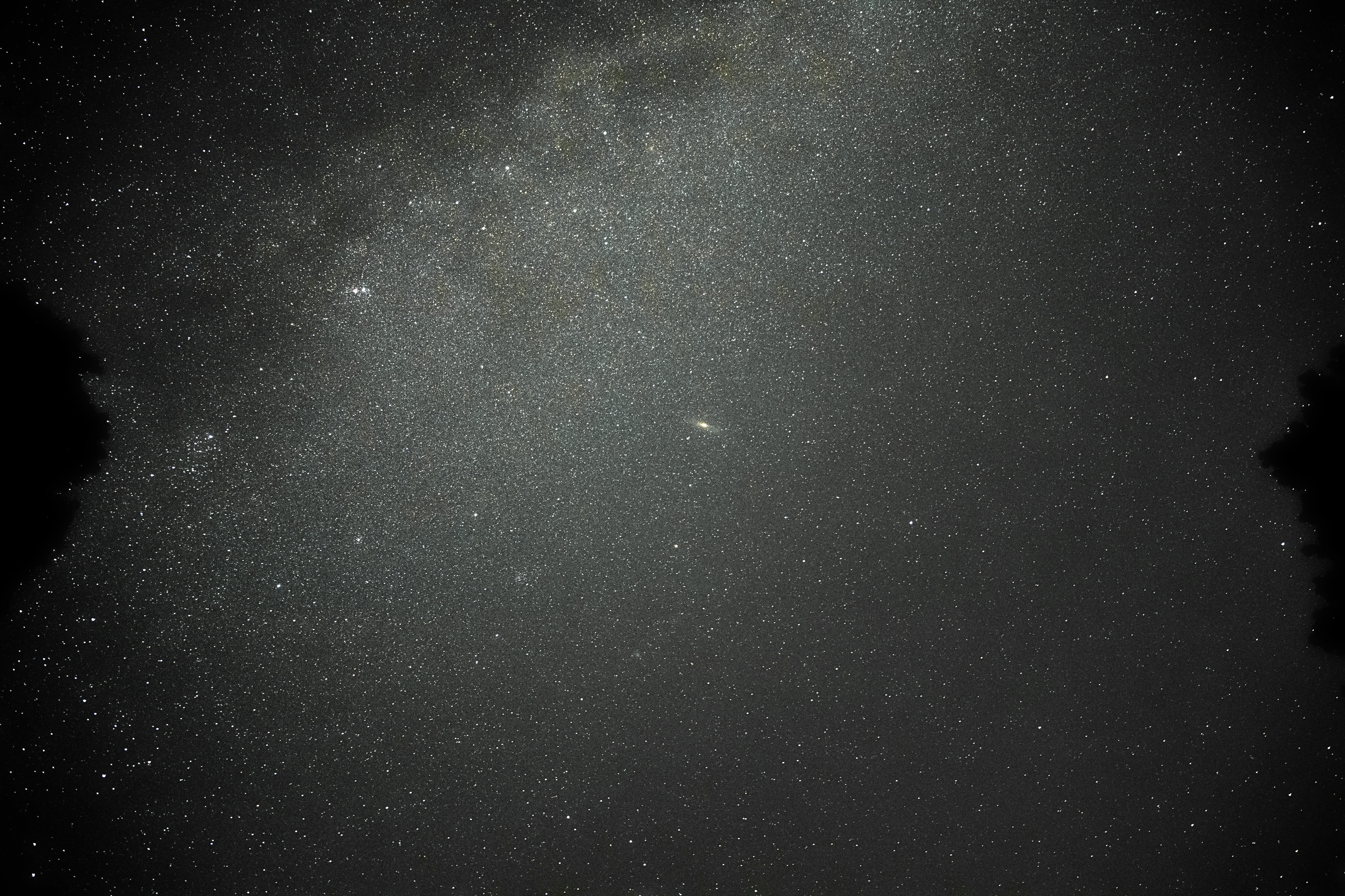 Photo by arizonanthony