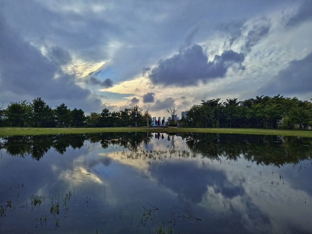 a large body of water surrounded by trees