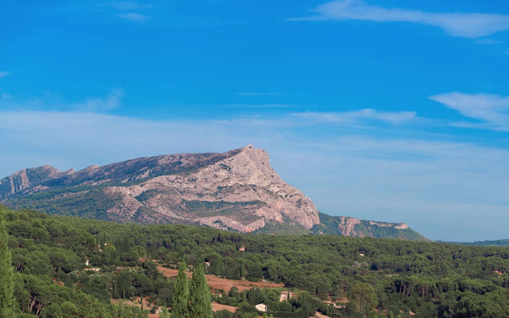 a view of a mountain range with trees in the foreground