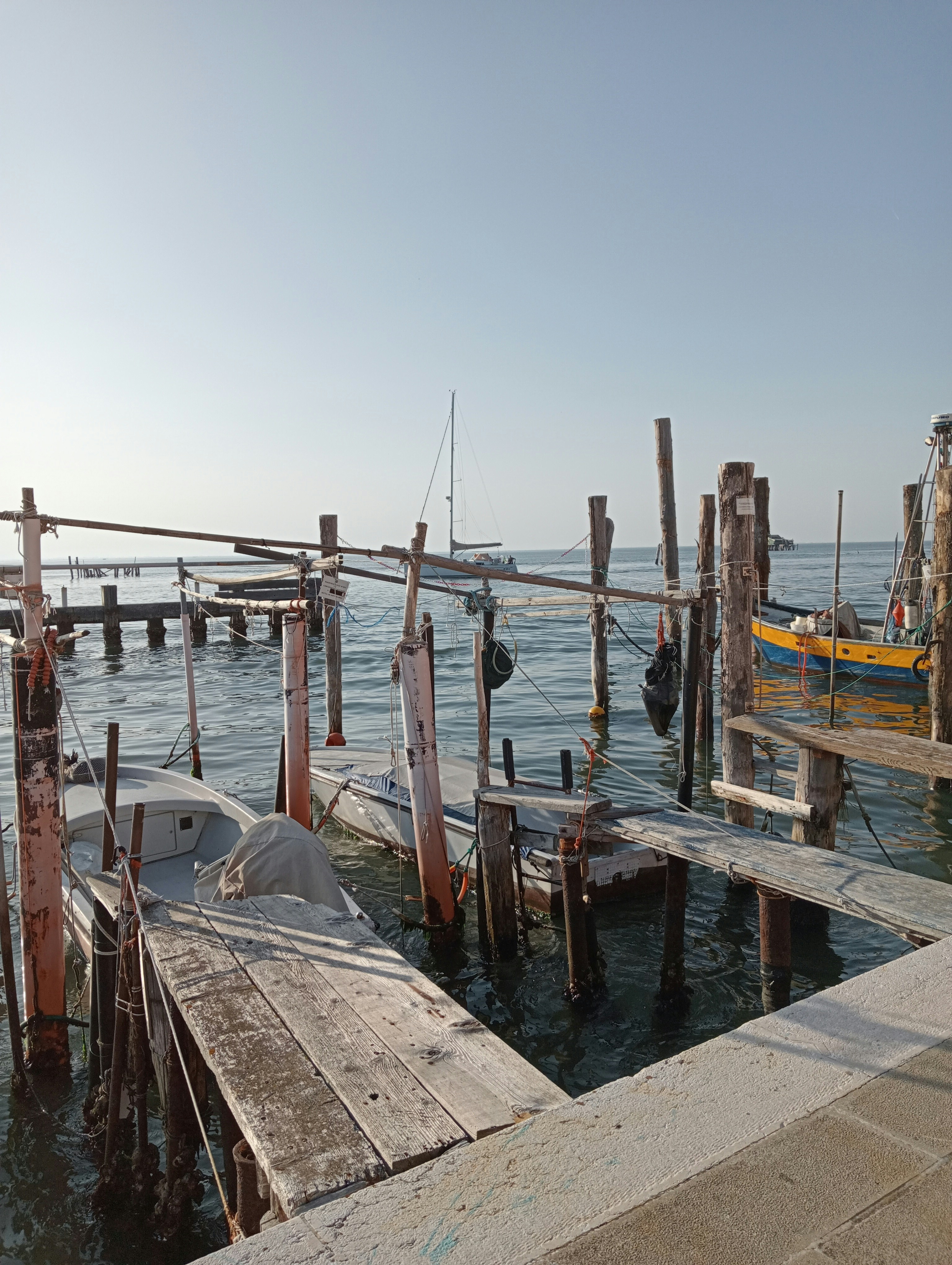 Photo by monica_rossini