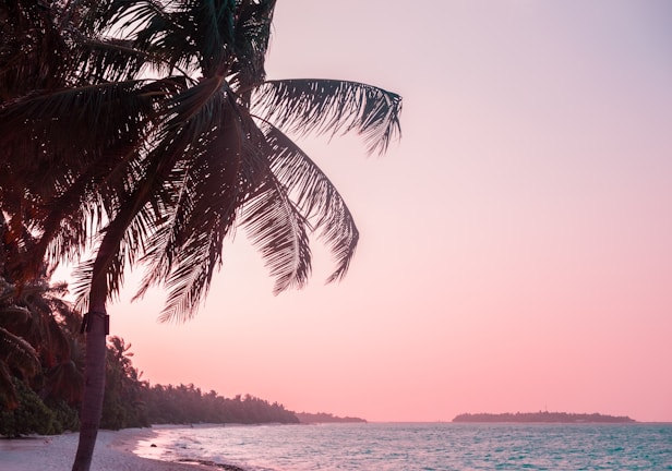 A serene beach sunset with soft waves and palm trees, capturing Mauritius’ natural beauty.