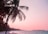 A serene beach sunset with palm trees framing the horizon, evoking tranquility and adventure.