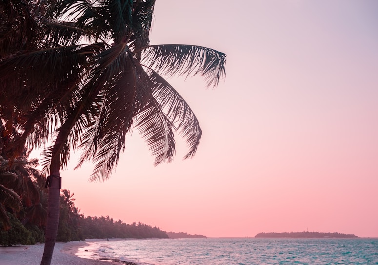 Sunset view over a serene beach at a Goa resort with palm trees swaying gently.