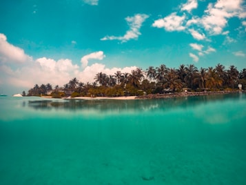 A tranquil tropical island with lush palm trees and clear turquoise waters under a vibrant blue sky with scattered clouds.