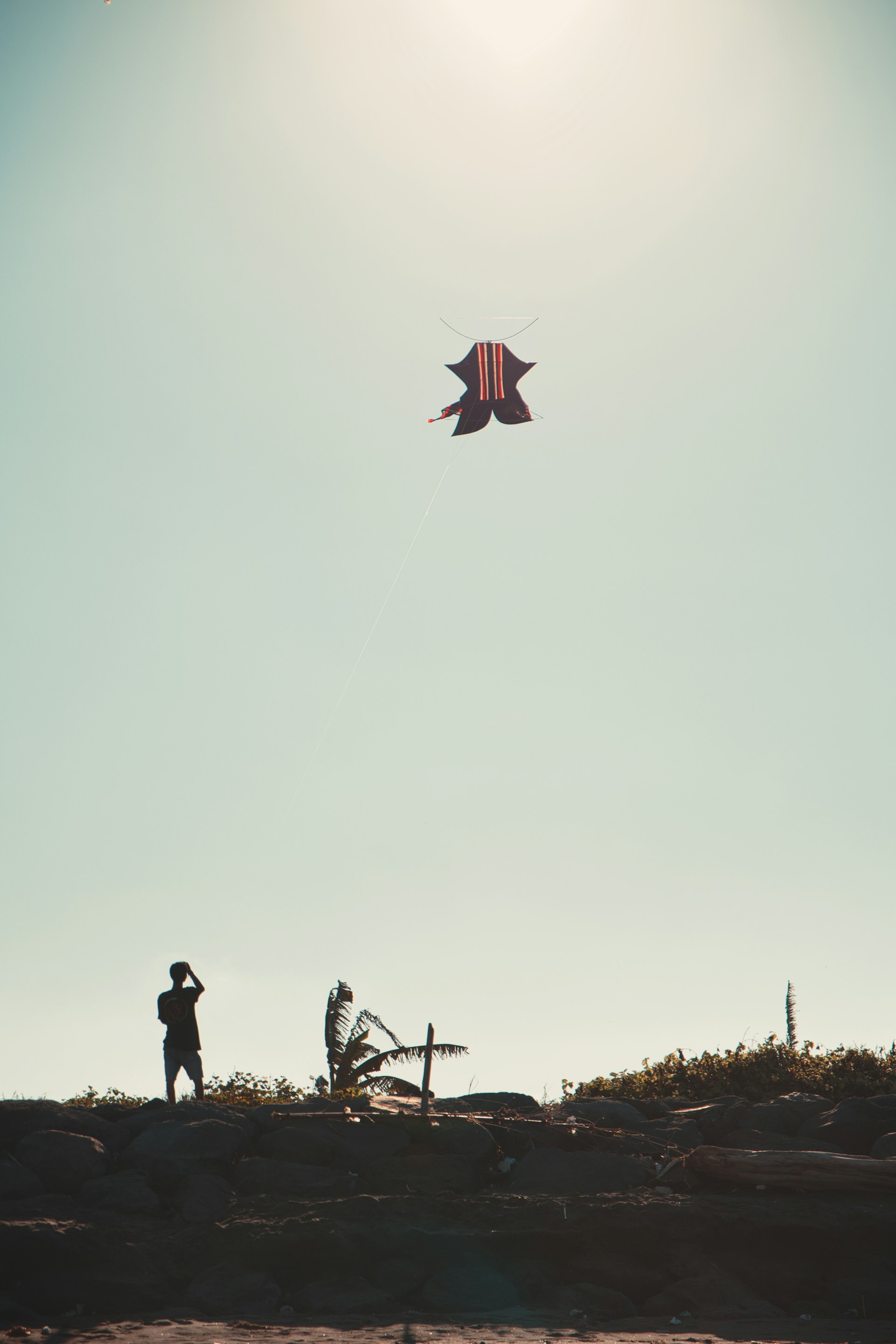 a person flying a kite on a sunny day