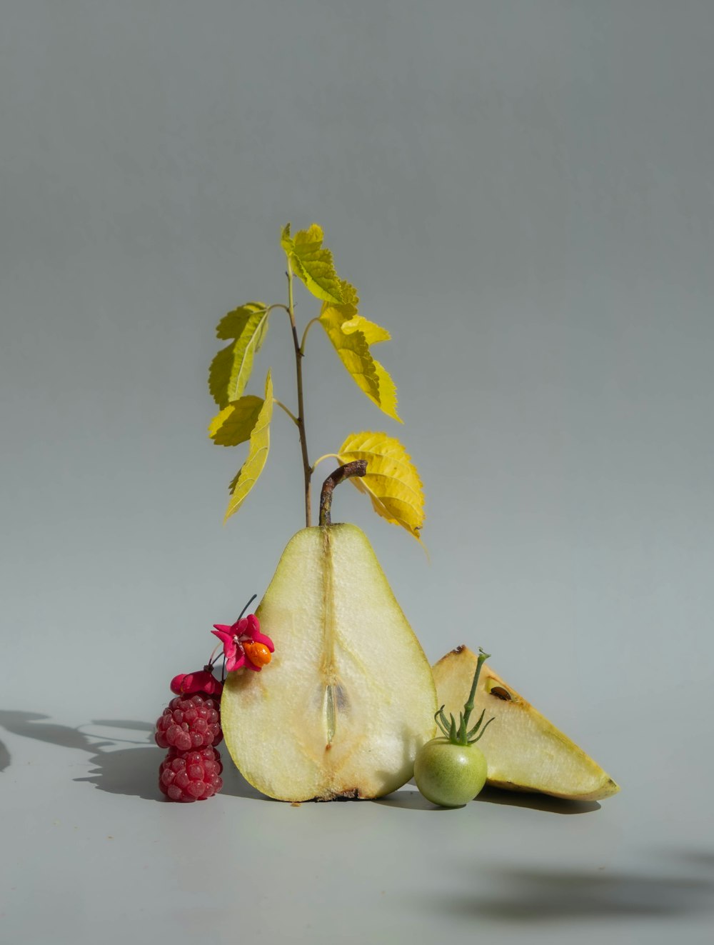 a piece of fruit that is sitting on a table