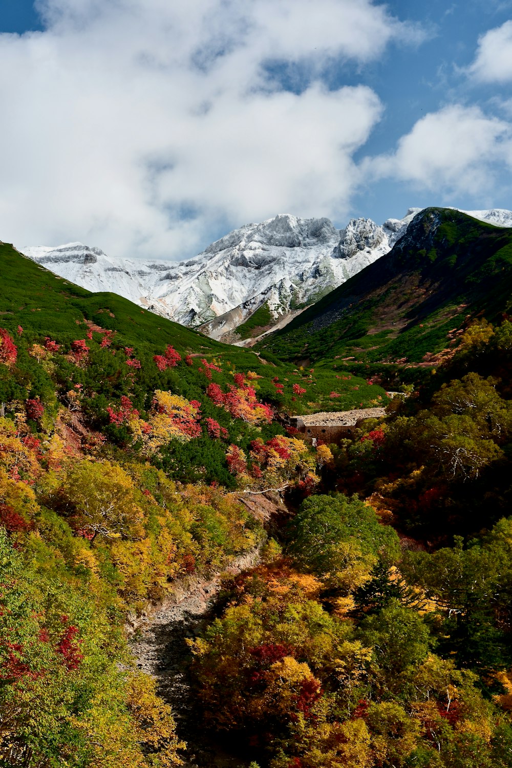 a scenic view of a mountain range with trees in the foreground