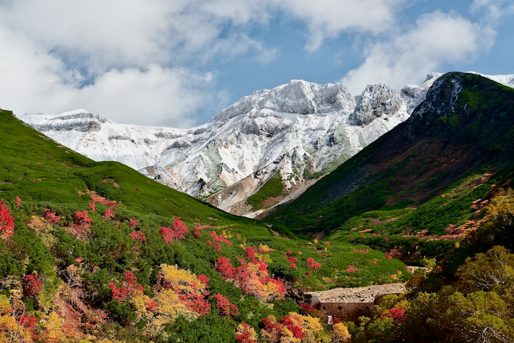 a view of a mountain range with trees in the foreground