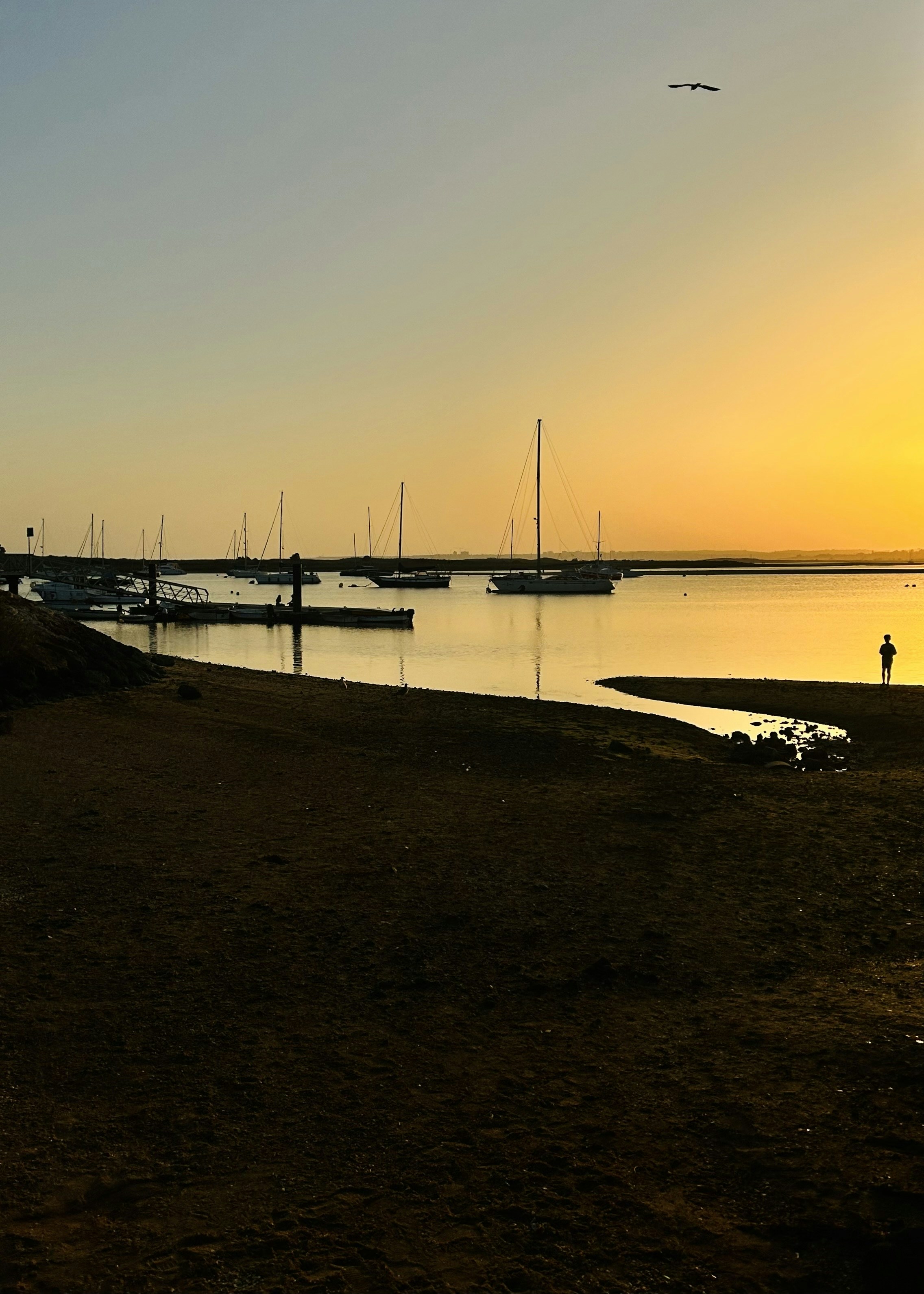a body of water with boats in the distance