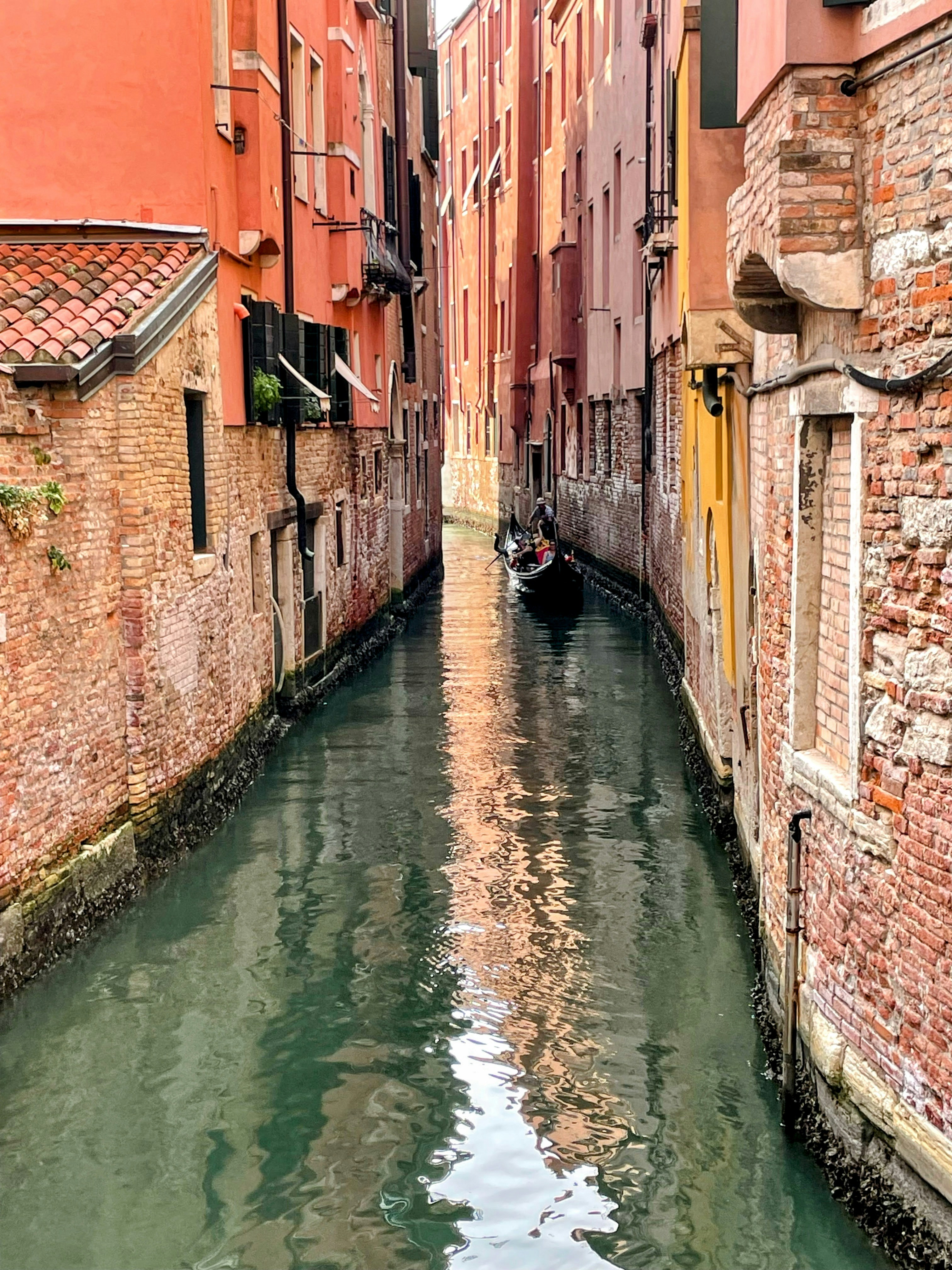 Photo by brijeshmasrani