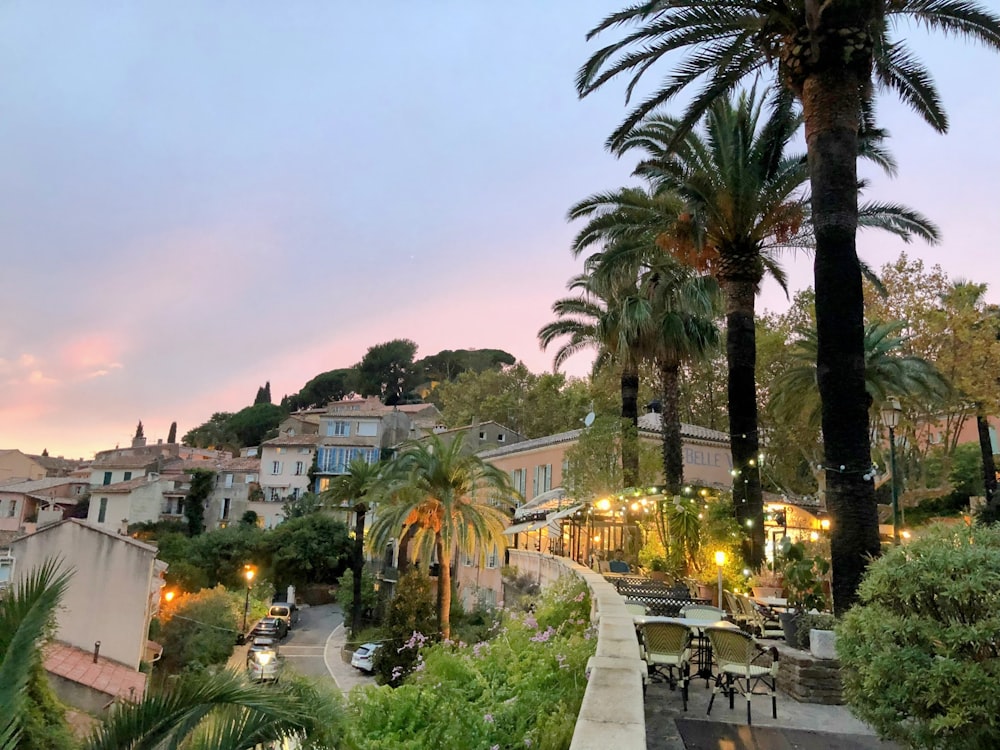 a city street with palm trees and buildings in the background