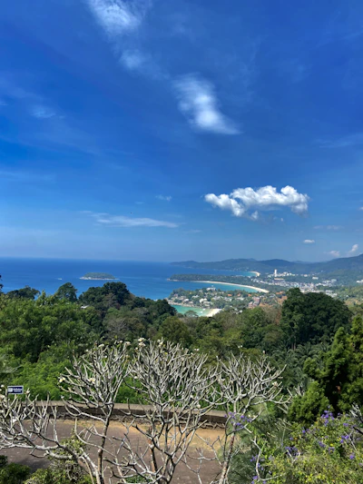 A vibrant photo of a group of tourists enjoying a scenic coastal tour with clear blue skies and lush greenery.