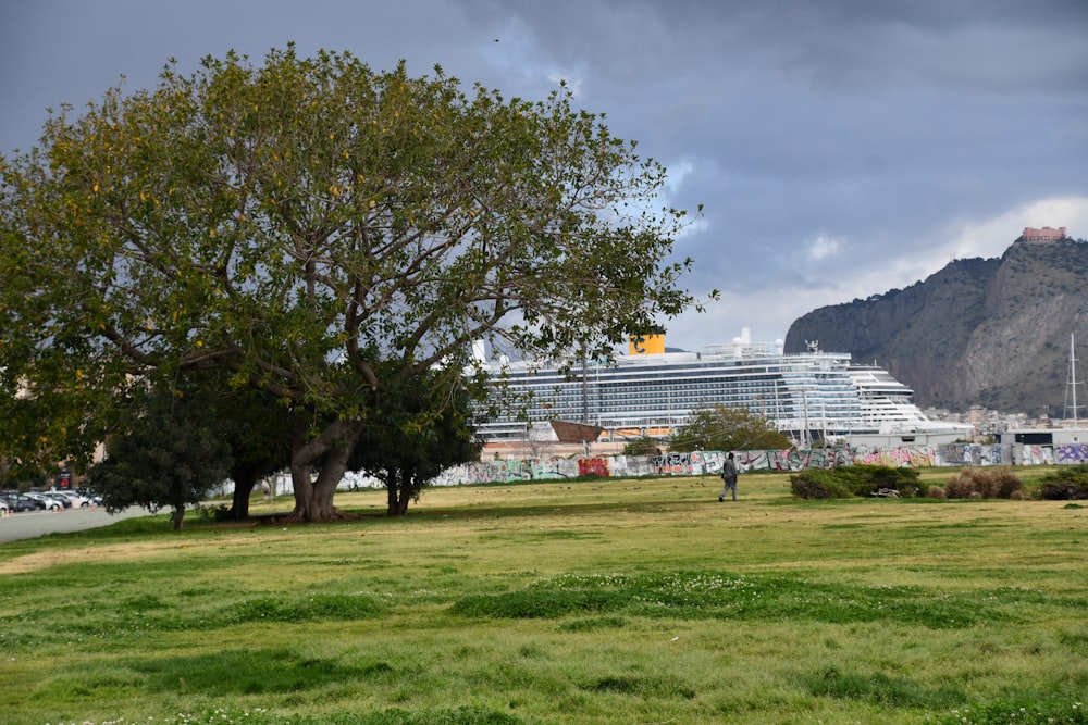 Un gran crucero está en la distancia detrás de un árbol