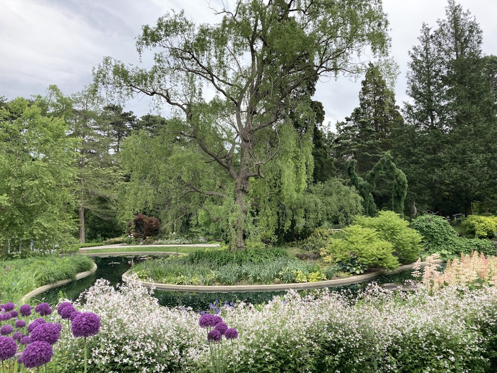 um jardim com flores e árvores ao fundo