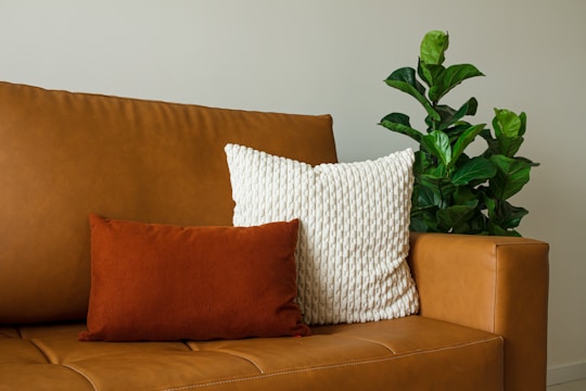 A leather couch in a warm brown tone is adorned with two cushions: one white with a textured pattern and the other a rich rust color. A lush green indoor plant is placed beside the couch, adding a touch of natural element to the setting.