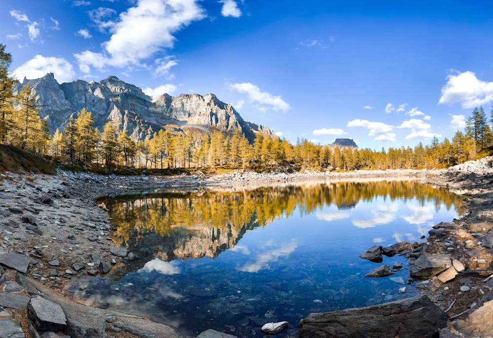 um lago de montanha cercado por rochas e árvores
