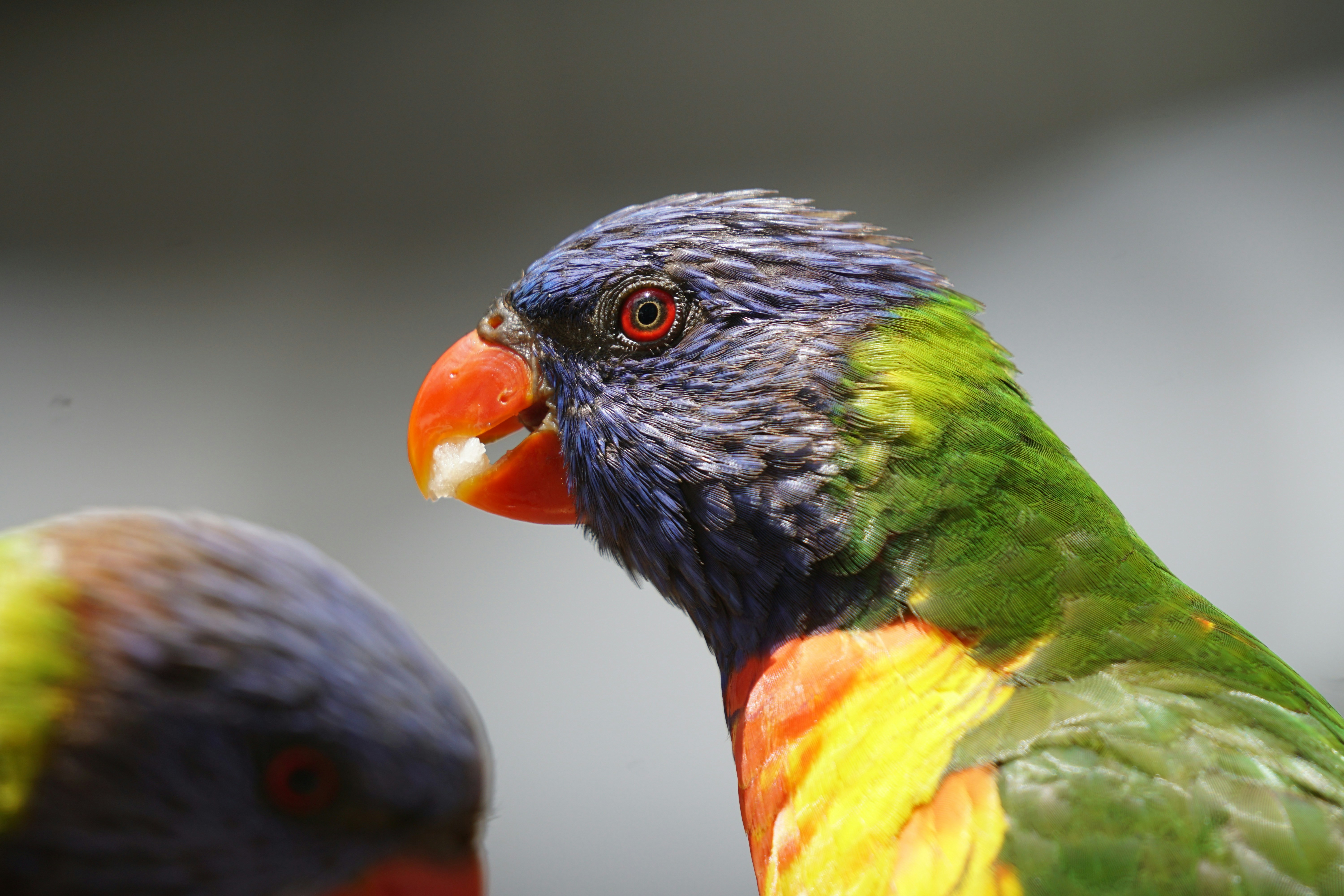 Photo by vicuballesteros