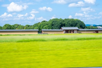 A serene landscape featuring a traditional kiln surrounded by greenery.