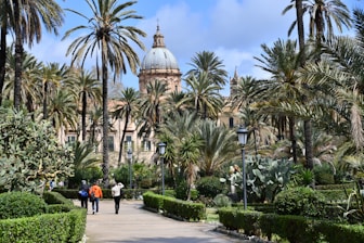a group of people walking down a walkway between palm trees
