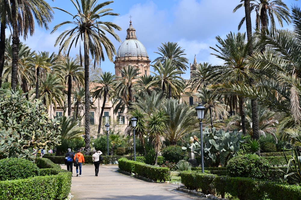 a group of people walking down a walkway between palm trees