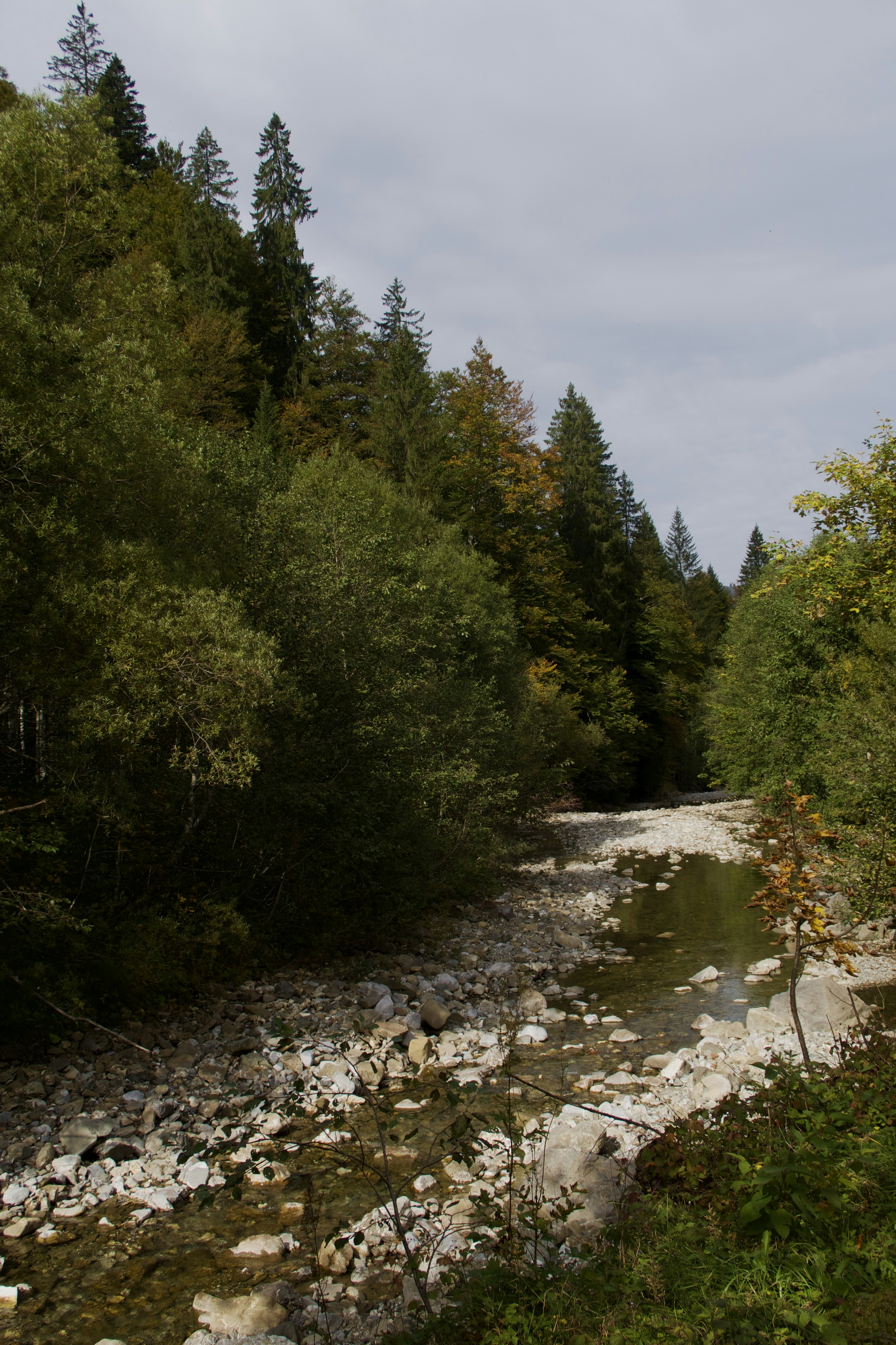 Photo by serainalarissa