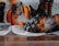 A black cat is playfully hiding amongst Halloween decorations, including an orange and black striped pumpkin and a boa with orange and black feathers. A stone decoration with the word 'Tricks' is visible, adding to the Halloween theme. The setting is on a wooden floor with a light fabric underneath the cat.