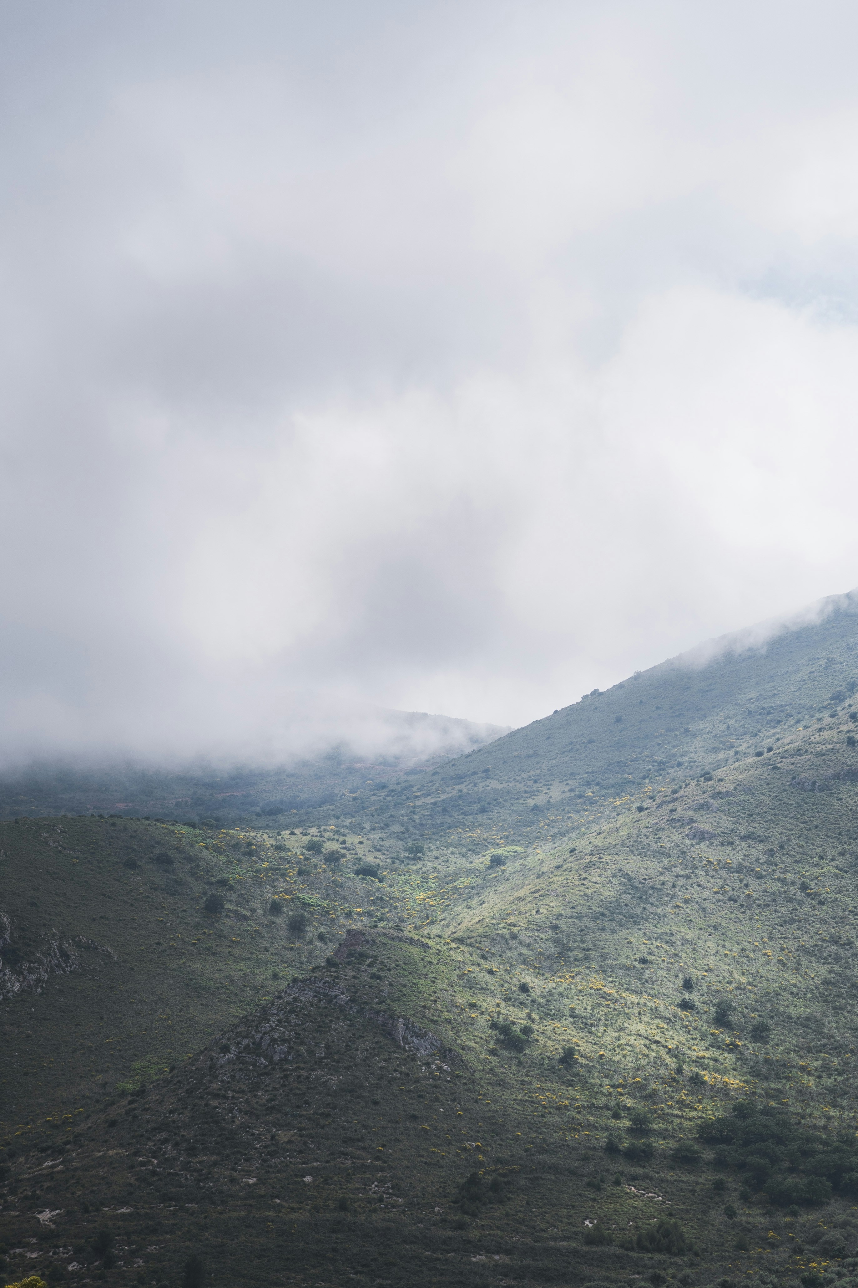 Photo by imperialart