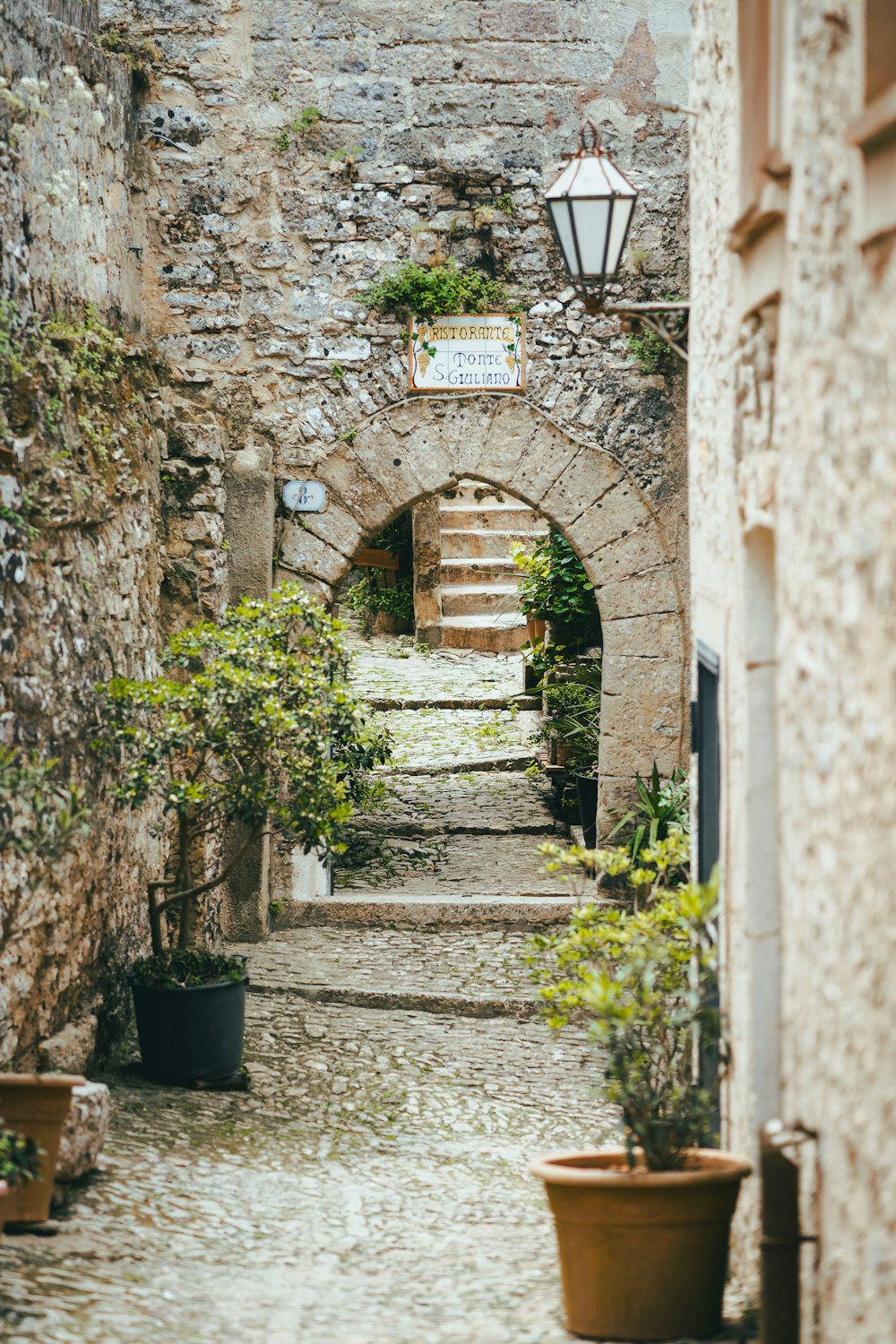 a narrow alley way with potted plants on either side