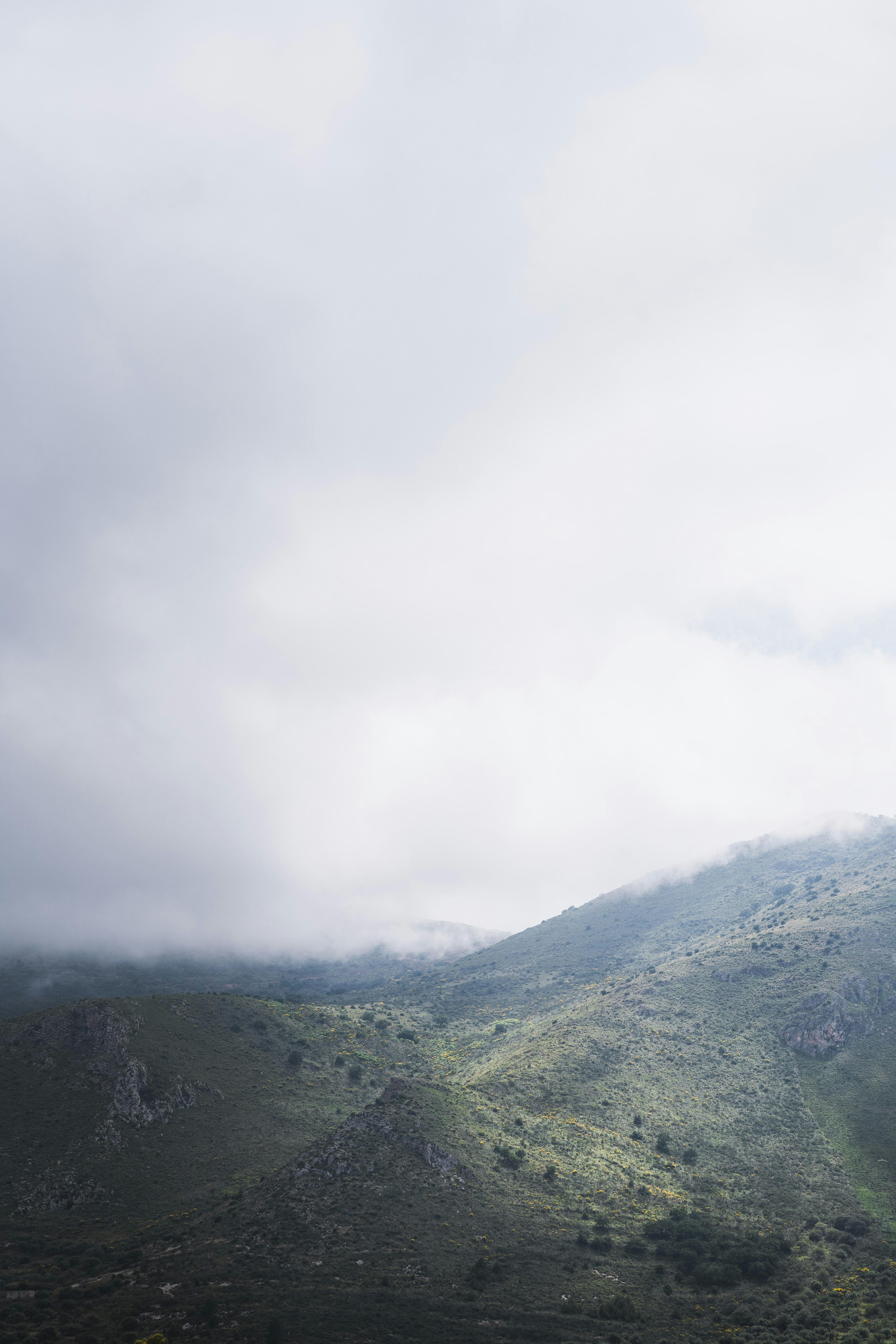 Photo by imperialart