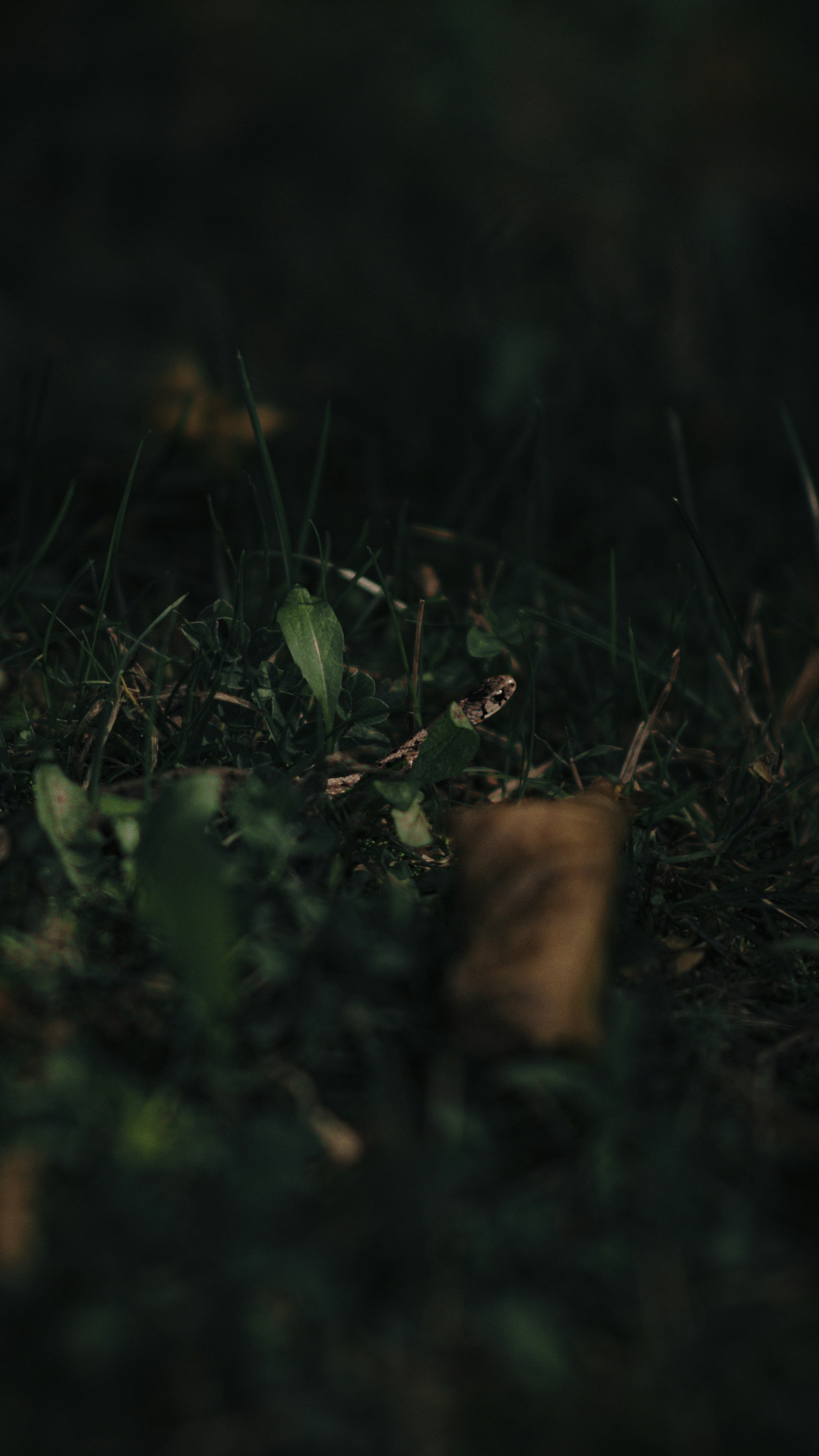 Photo by fruitboykid