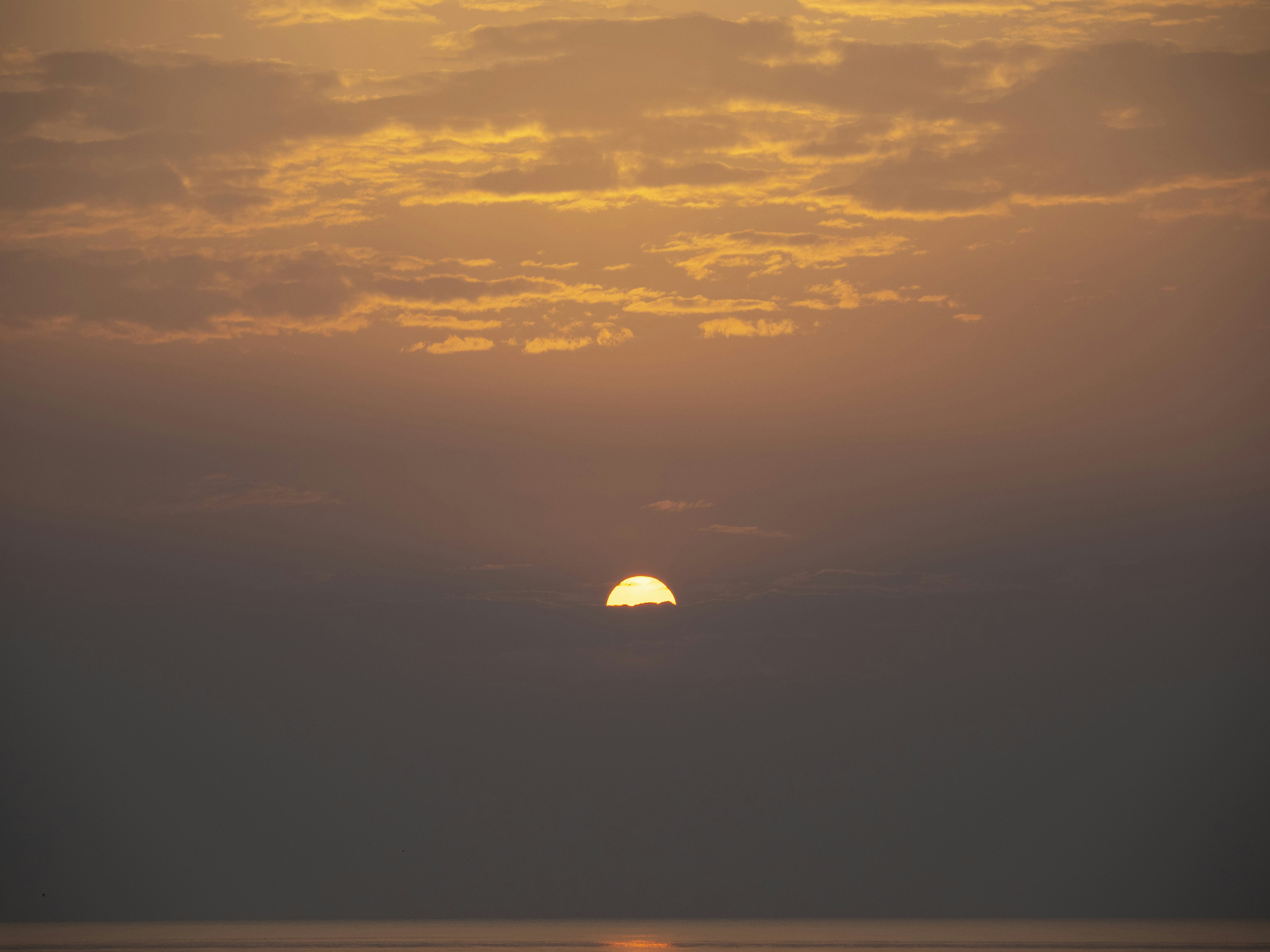 Photo by gopitri_prem