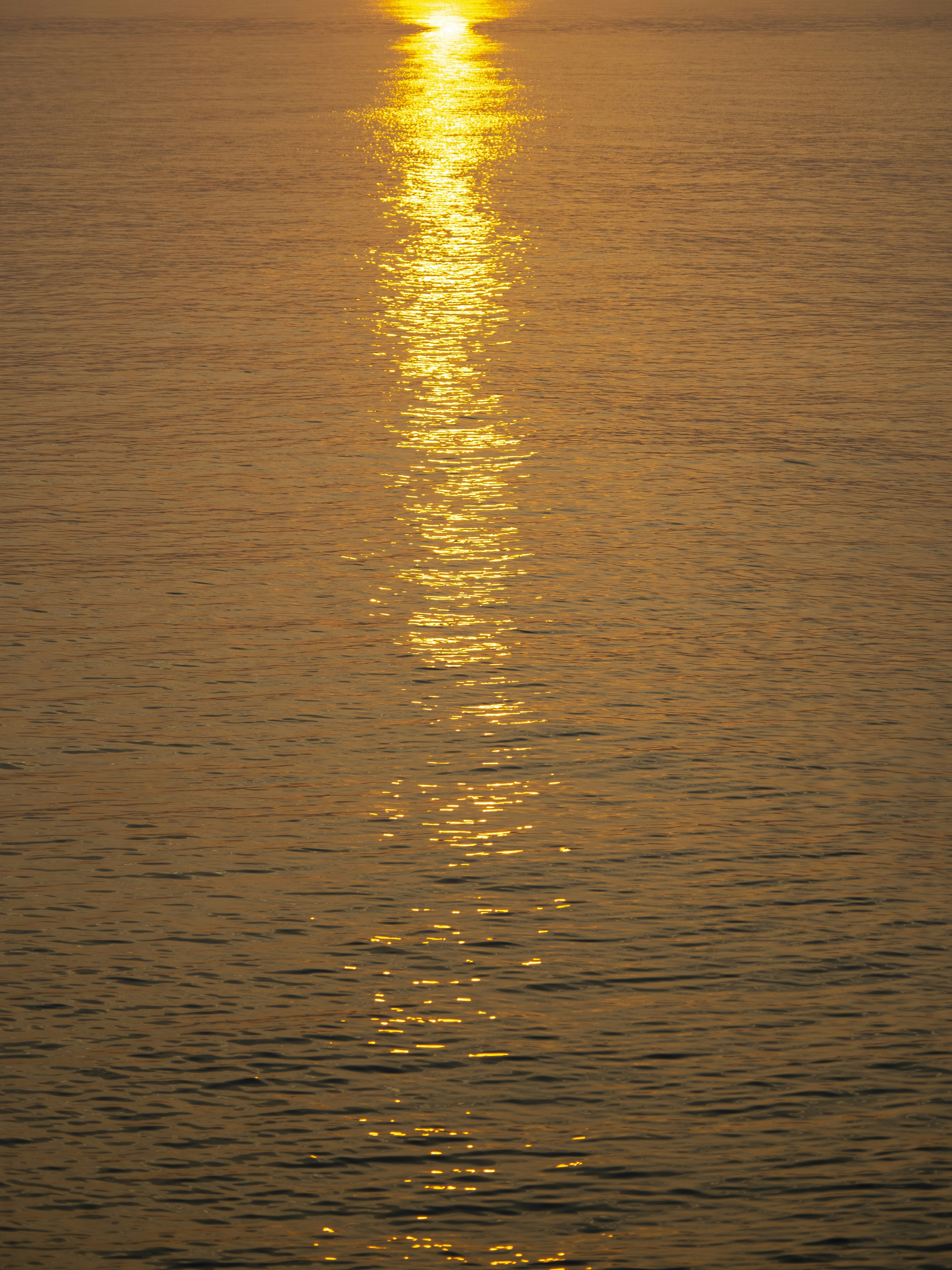 Photo by gopitri_prem