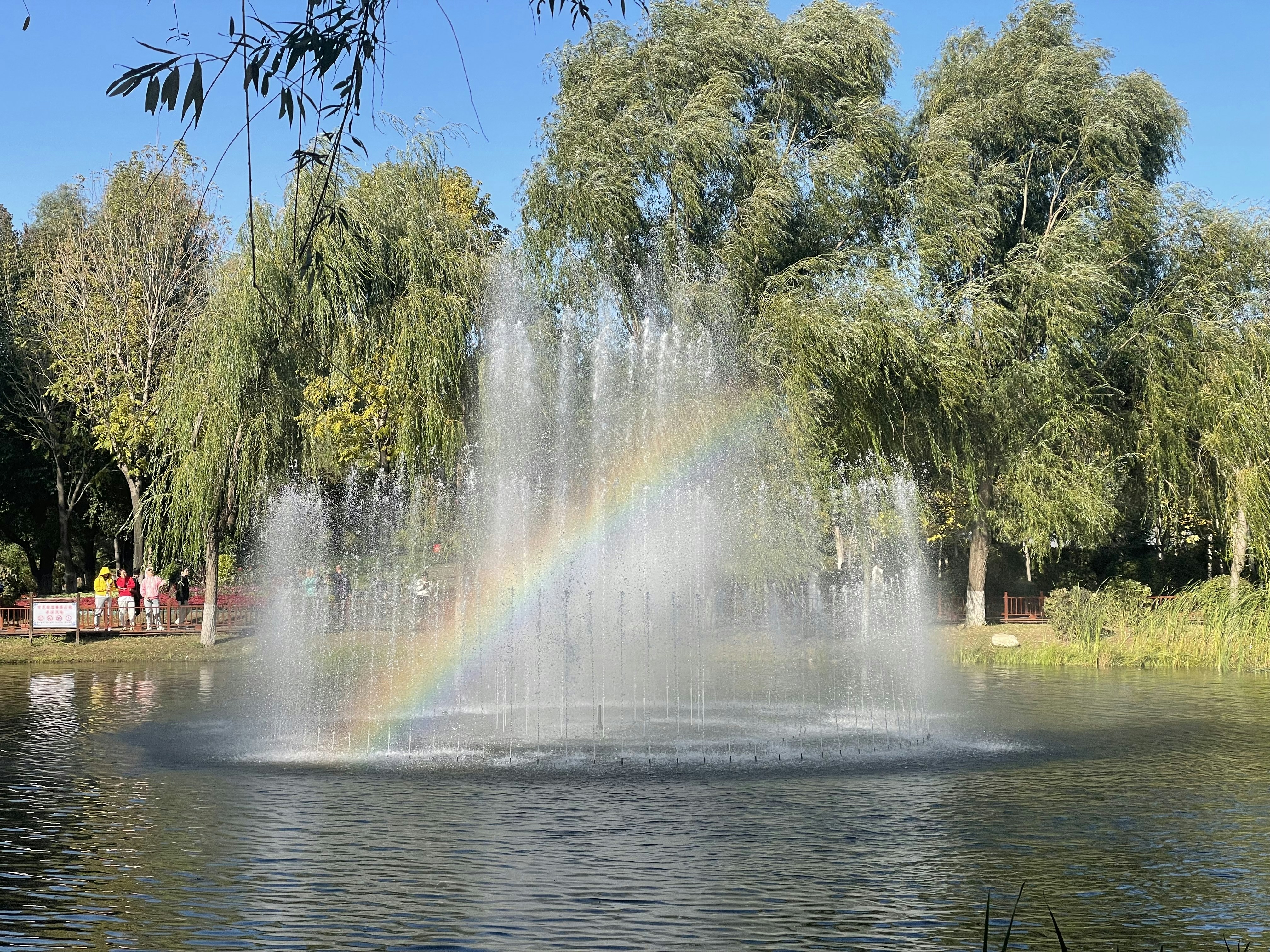 Passport services in Rainbow Lakes Estates