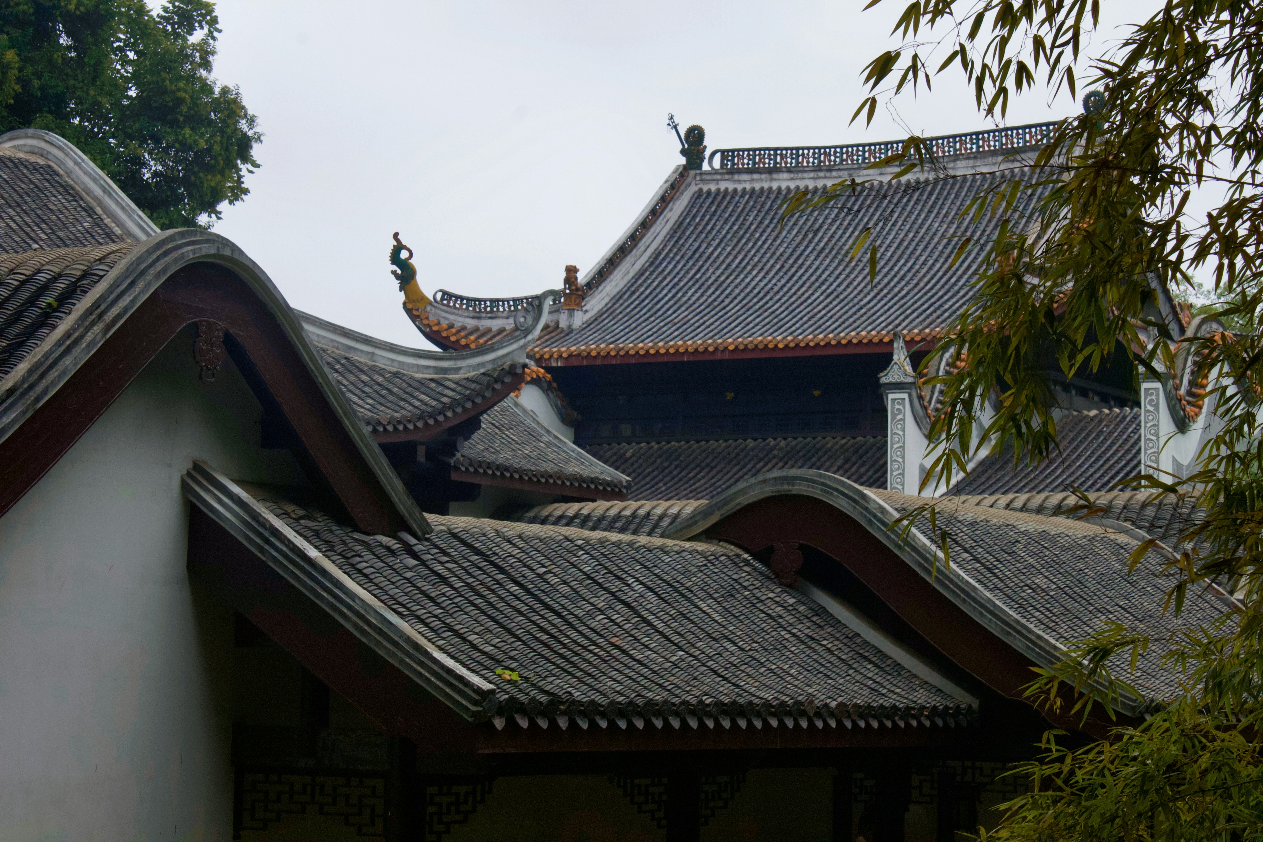 Photo by xu777