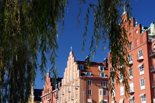 Colorful European-style buildings with distinct architecture are framed by hanging tree branches. Each building has multiple windows and some balconies, and there is a clear blue sky in the background.