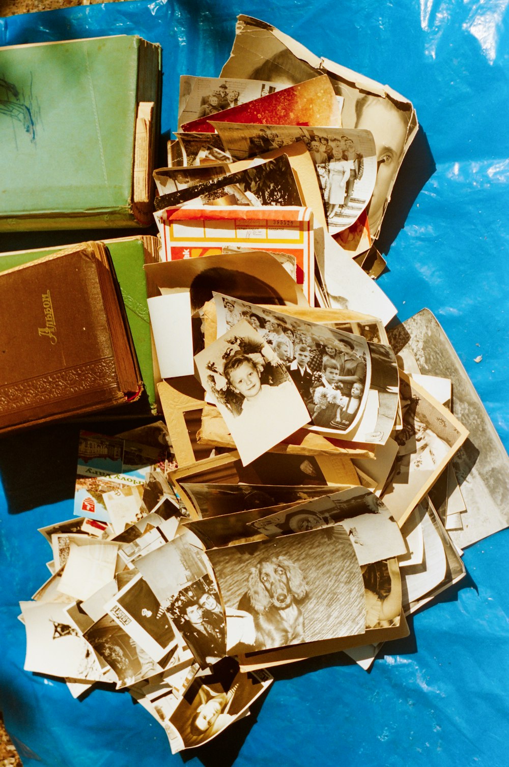 a pile of old photos and books on a blue tarp