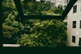 View from the Deluxe Room window showing lush greenery.
