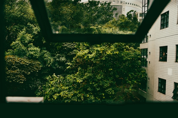 View from the Deluxe Room window showing lush greenery.