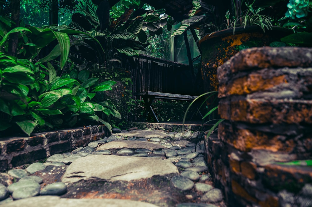 a stone walkway surrounded by lush green plants