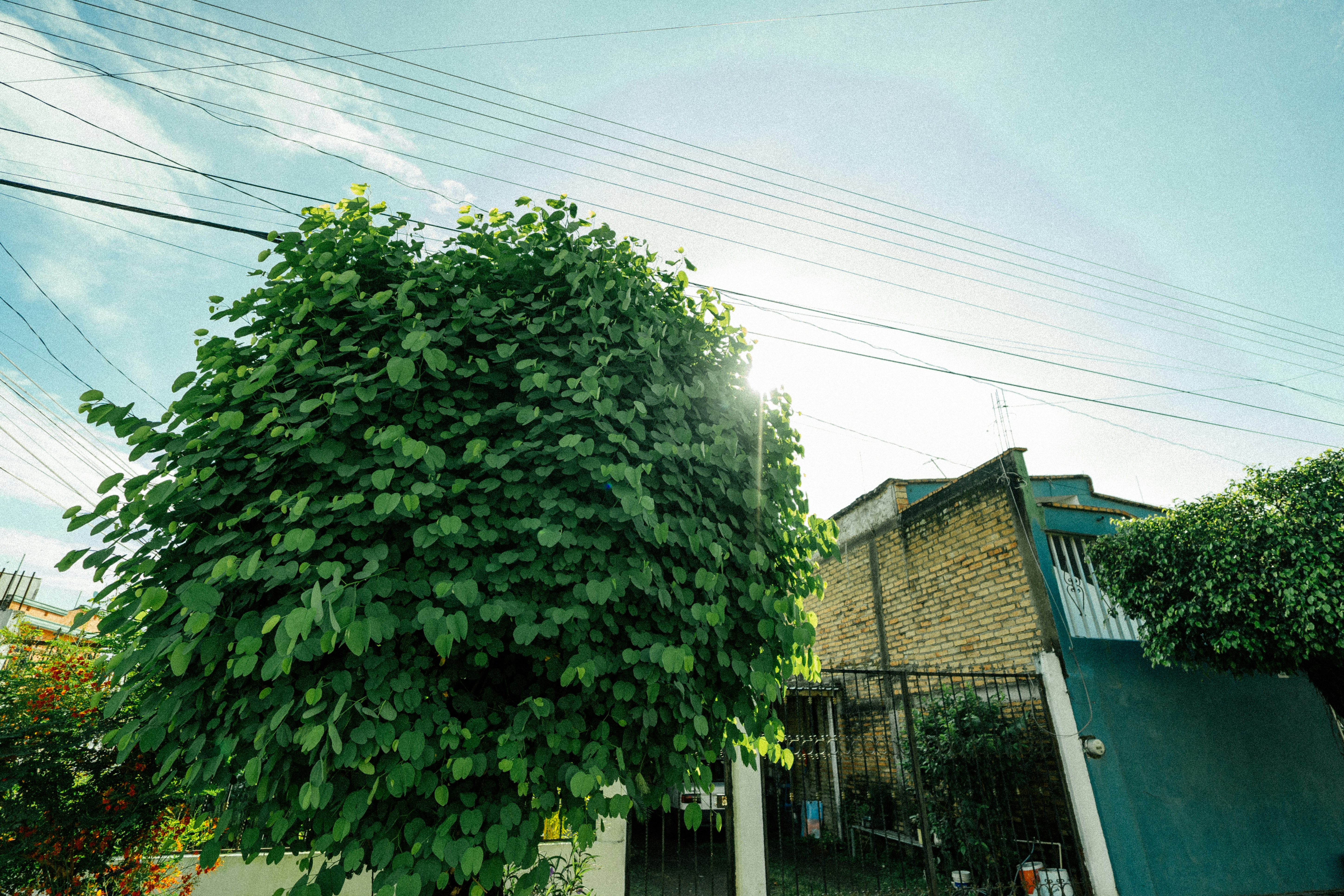 Photo by jonathecreator