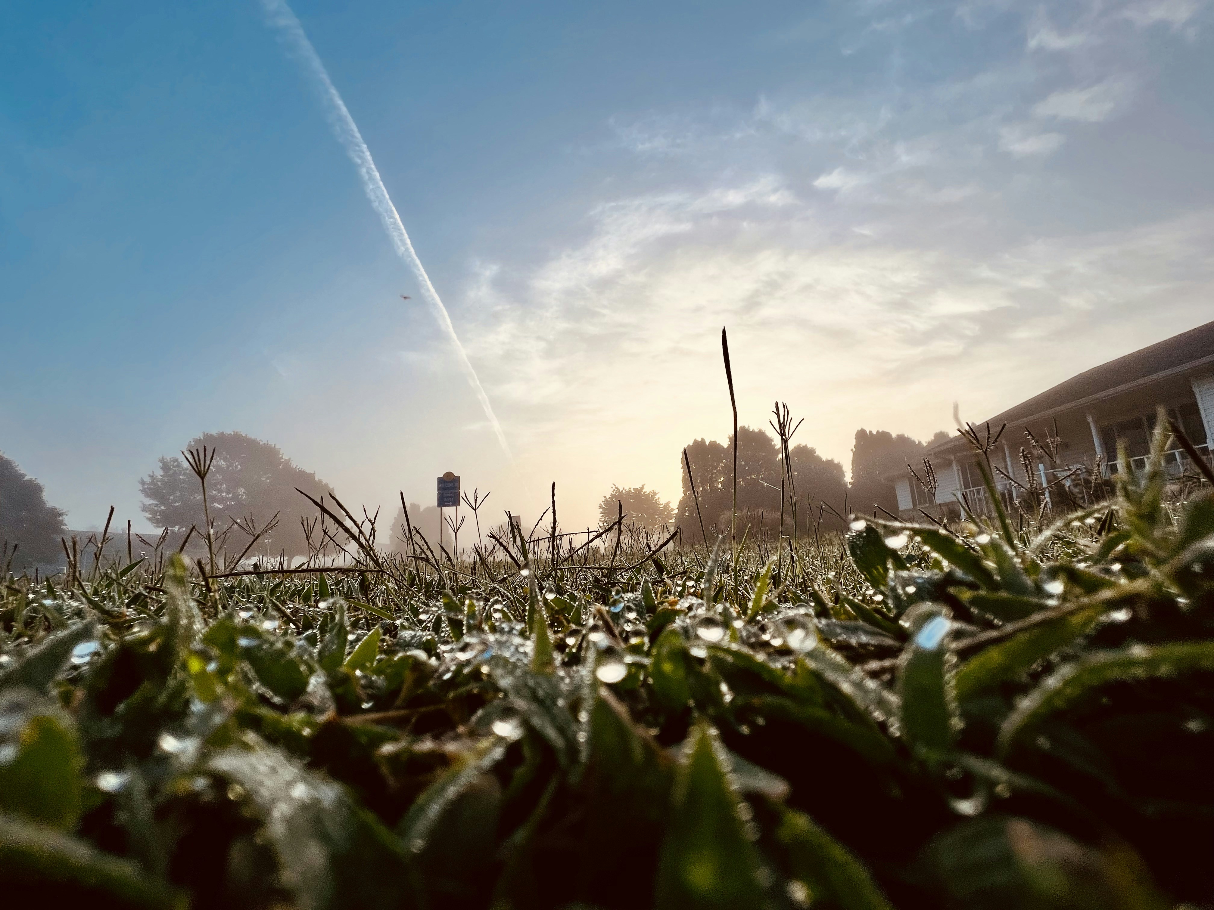 the sun is shining on a grassy field