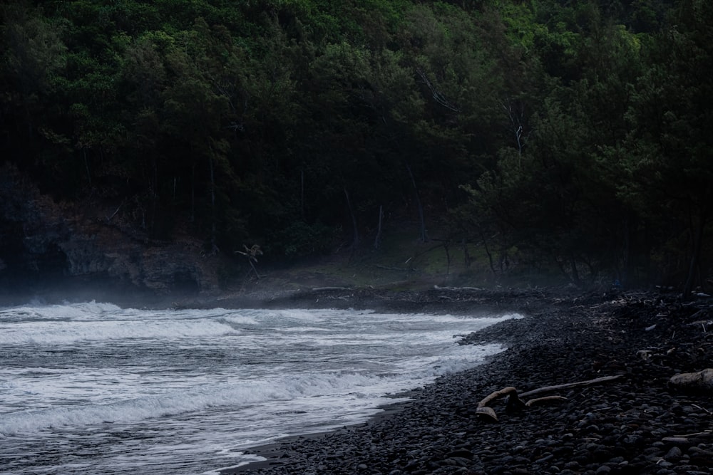 a body of water surrounded by trees and rocks