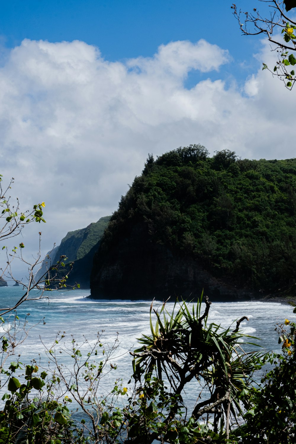 a large body of water surrounded by a lush green hillside