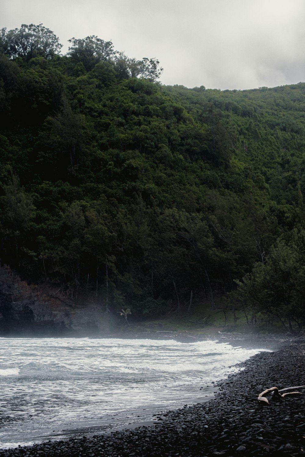 a person walking on a beach next to a body of water