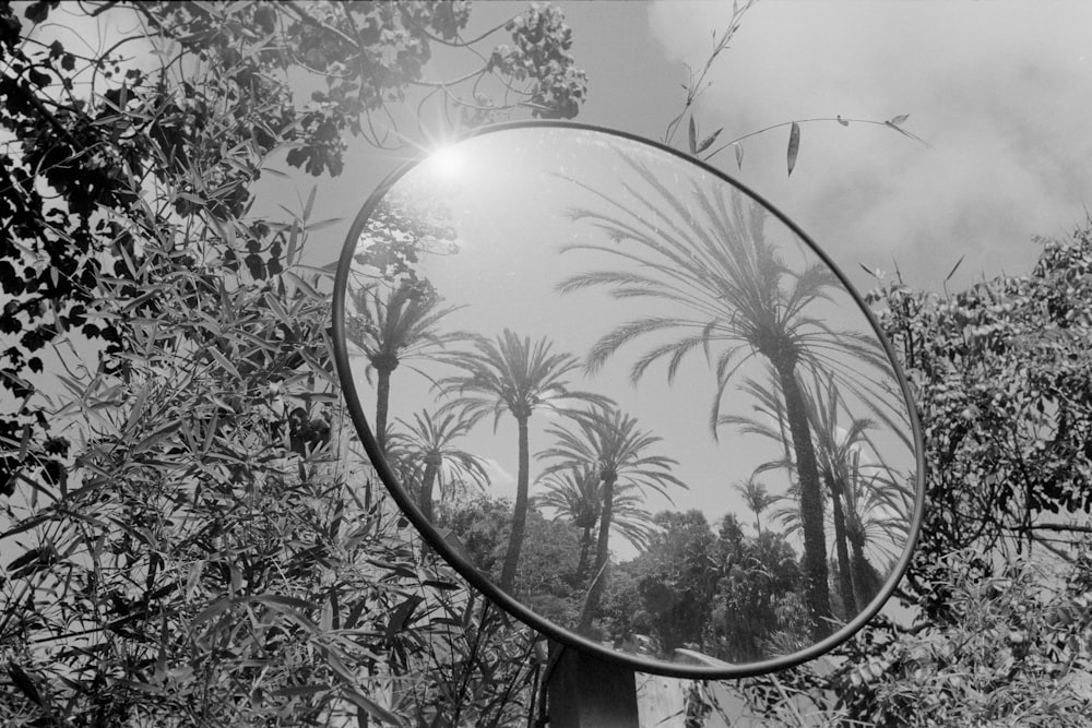 a mirror with palm trees in the background