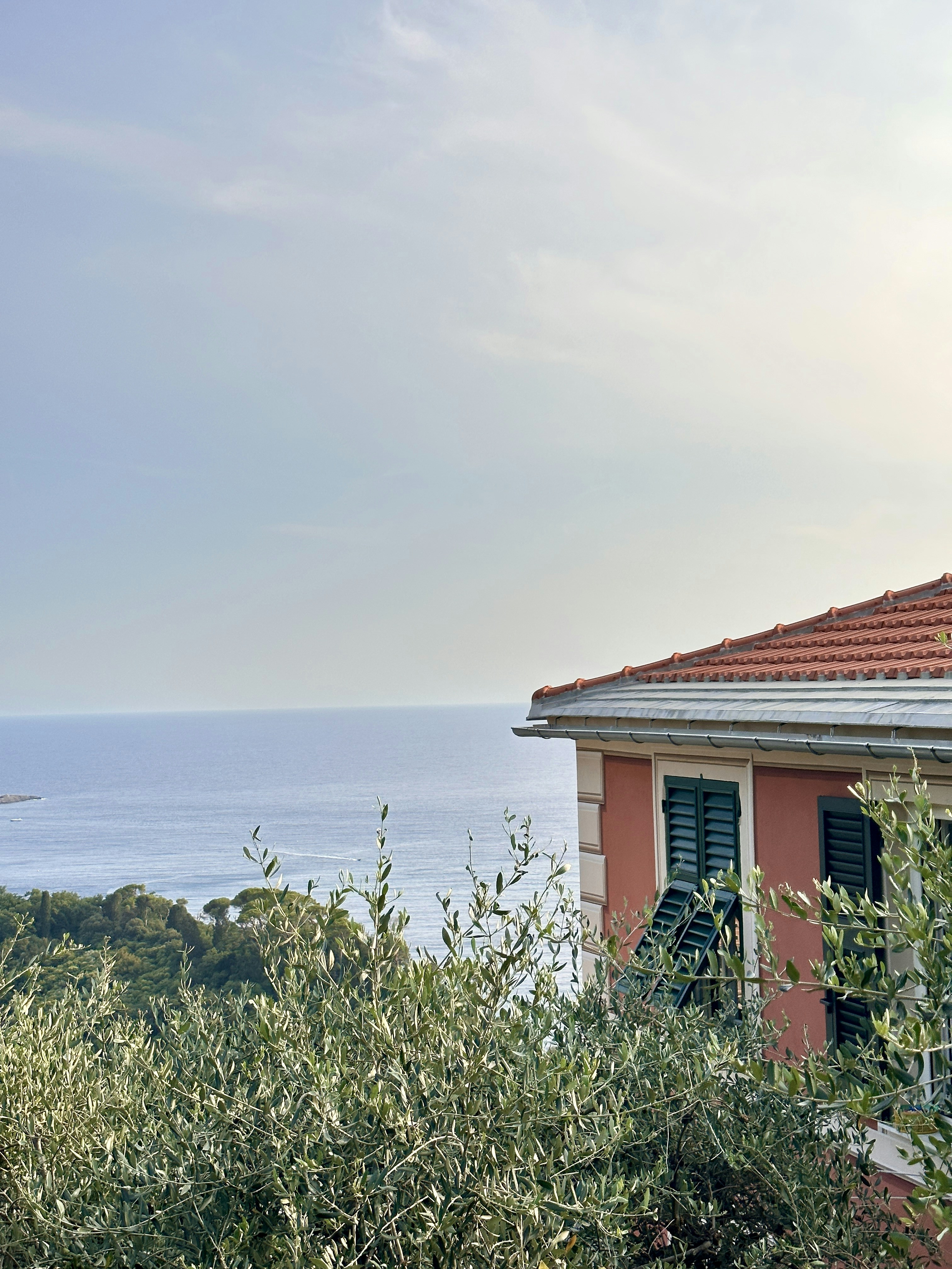 Photo by andrecageorgiana