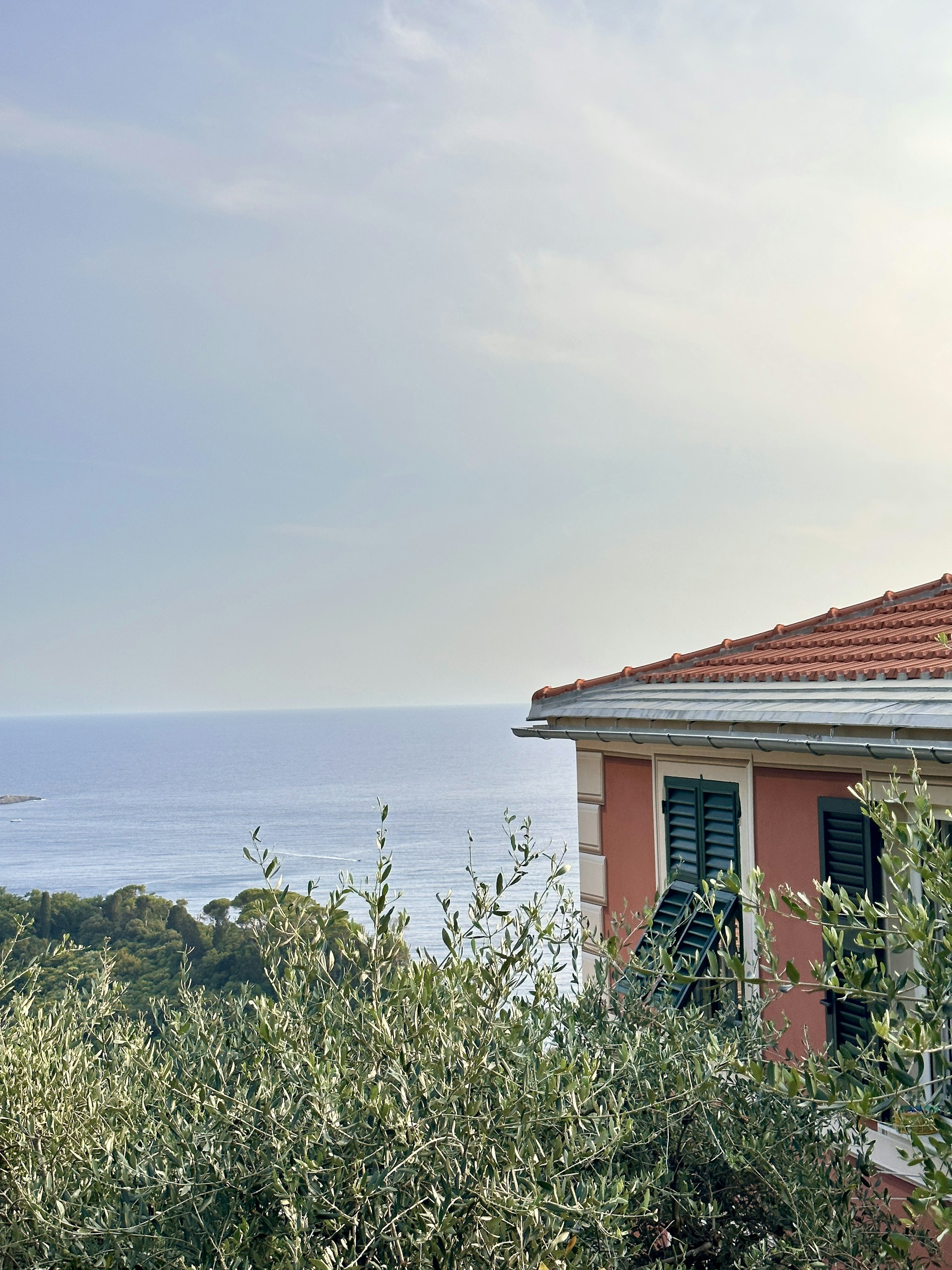 gray computer monitor