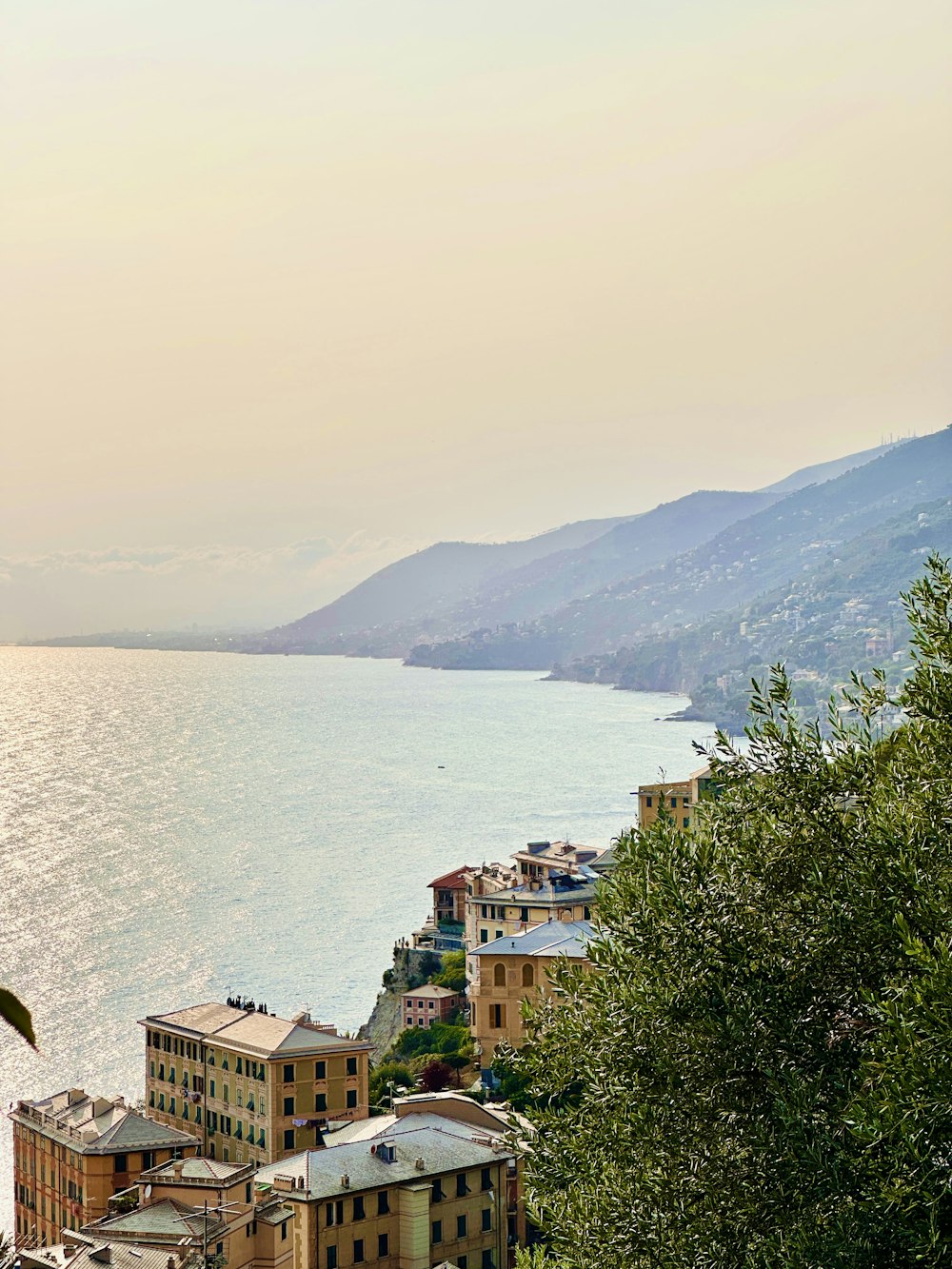 a view of a body of water from a hill