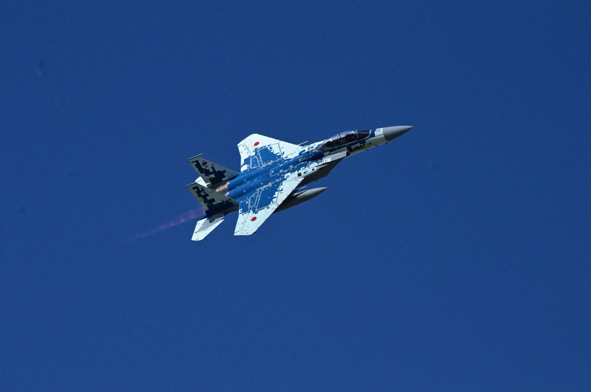woman holding dried flower